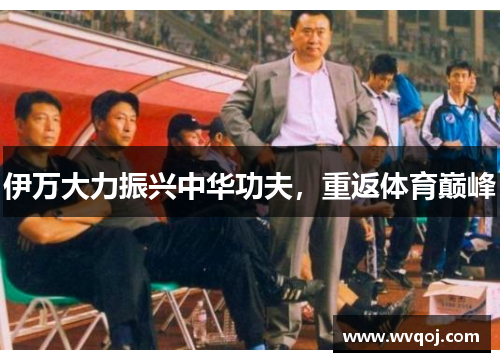 伊万大力振兴中华功夫，重返体育巅峰